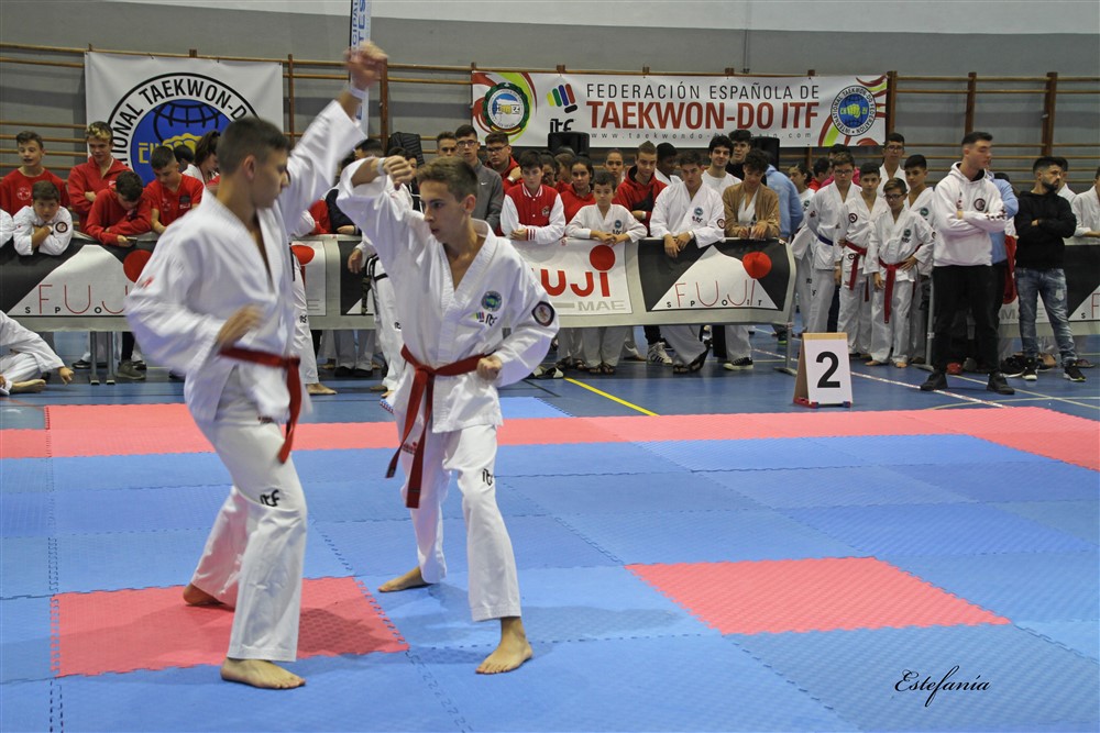 Copa Seul 2018 (355).jpg
